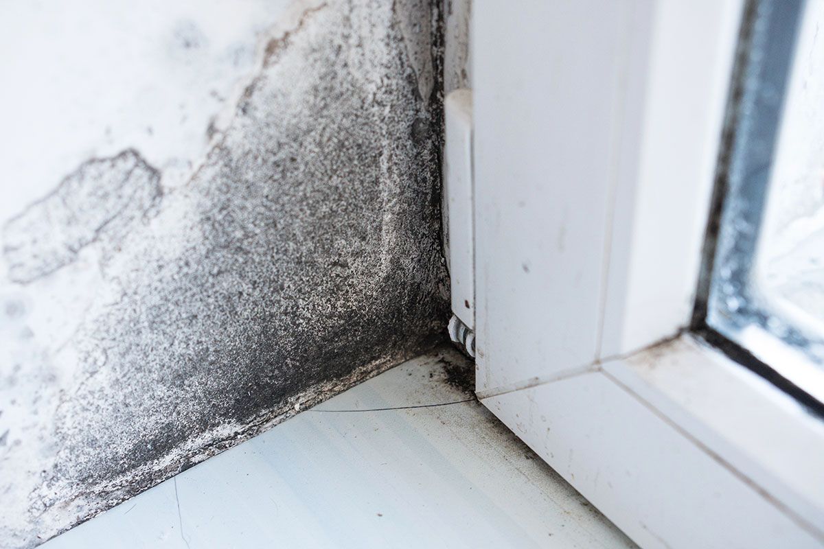 This Clean Air Day, Infinity Home Services looks at ways you can help yourself to breathe easier with tips and trips to keeping the air in your home as clean as possible.