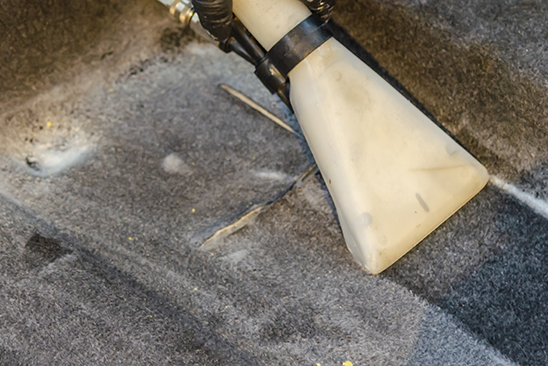 Infinity Home Services take a look at indoor allergens, how they affect us, and how we can take steps to deal with them this World Allergy Week.